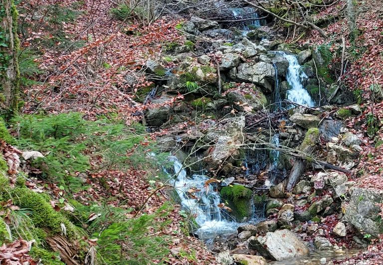 Bachlauf